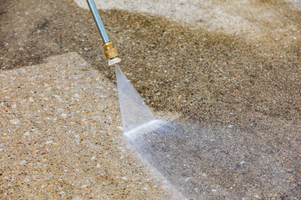 Trusted Olympia, WA Pressure Washing Services Experts